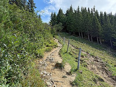 Vorschaubild 7