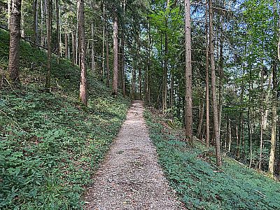 Der zu Beginn flache Pfad leitet uns nordwestwärts