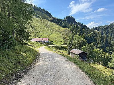 Vorschaubild 8