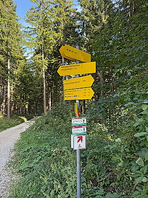 ...kommen wir zu einer Verzweigung und biegen erst links...