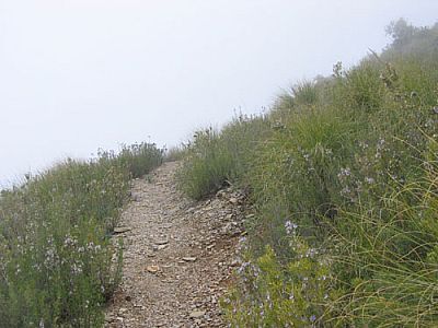 Über einen steilen...