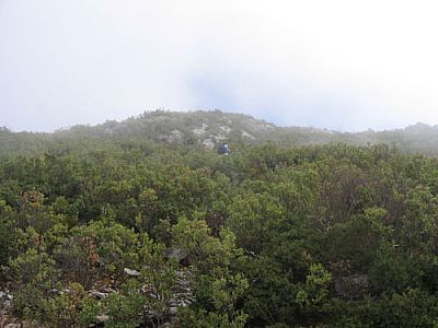 ...geht's zügig bergauf.