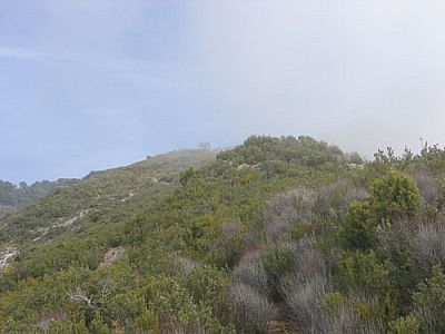 Langsam wird's wieder flacher