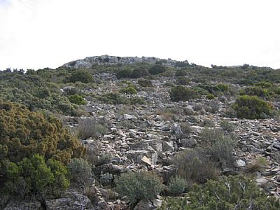 ...geht zumeist über gerölligen Untergrund