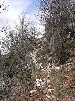 Über einen schmalen Pfad...