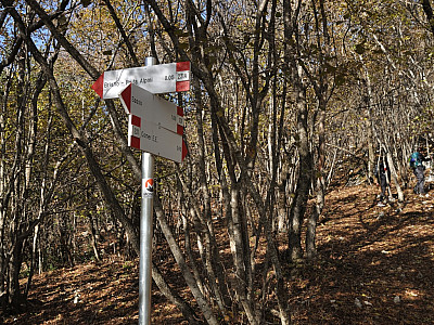 Wir wandern weiter auf dem Weg 231 zum Gipfel des Monte Comer