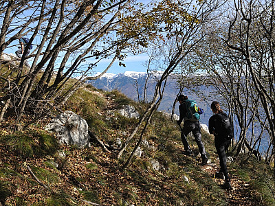 Der Wald gibt immer wieder herrliche Blicke auf den See und das Monte Baldo-Massiv frei
