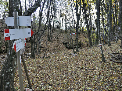 Hier biegen wir links ab und wandern auf dem Weg 231 nach Sasso