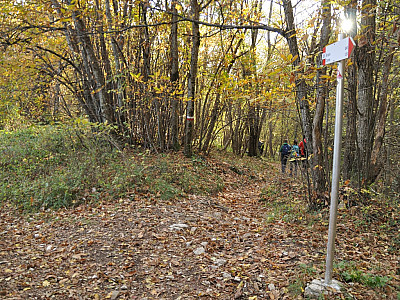 Hier weiter rechts auf dem Hauptweg bleiben