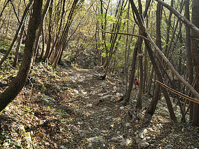 Der Abstiegsweg verlangt stellenweise auch Trittsicherheit, ist aber deutlich leichter zu gehen als unsere Aufstiegsvariante