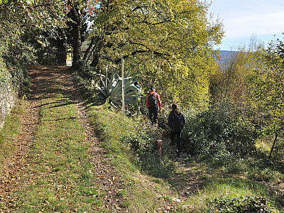 ... bevor wir hier rechts auf einen Pfad wechseln.