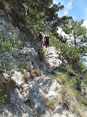 ...wird von Gehgelände abgelöst