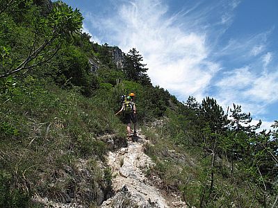 ...folgt wieder Gehgelände - diesmal für 20 Minuten