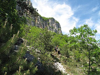 ...führt uns zur ersten Wand