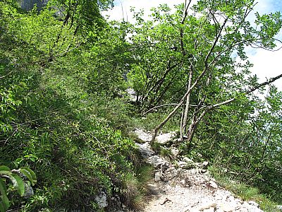 ...und weiteres Gehgelände