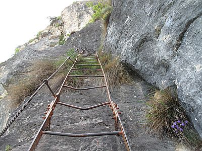 ...zur nächsten Leiter