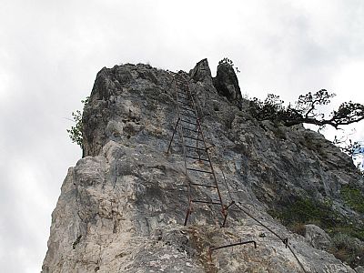 An der letzten Leiter