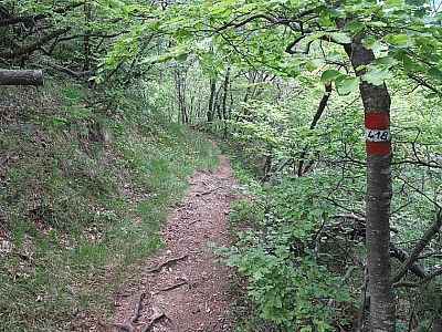 Über den Weg 418 geht es hinunter nach Riva