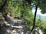...über den komfortablen Panoramaweg