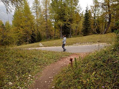 ... der uns schließlich zu einer kleinen Straße führt.