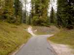 Wir folgen der Straße ein Stück bergab nach Norden und wechseln auf einen Pfad