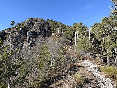 ... dann verschwinden sie hinter der Hangkante, während wir weiter aufsteigen.