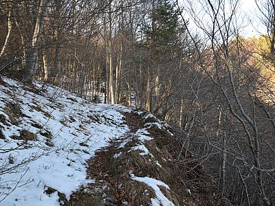 Im milden Winter 2020 finden wir hier nur wenig Schnee vor