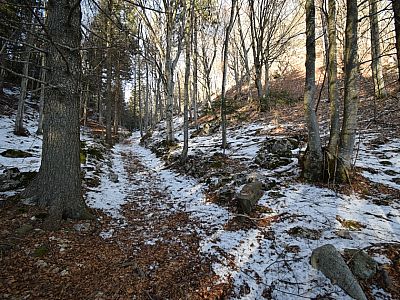 ... und  spazieren weiter bergauf. 