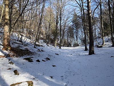 Der anfangs kaum ausgeprägte, ...