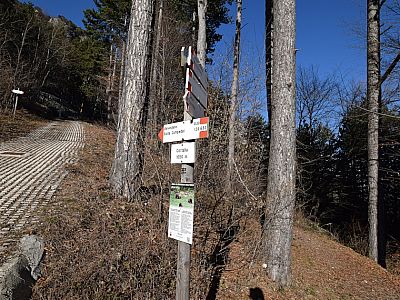 Hier weiter dem Wegweiser 