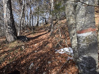 ... später aber markierte Weg, ... 