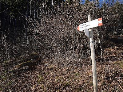 ... um 10 m später nach links steil aufzusteigen.