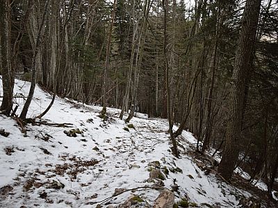 ... und wandern steil den Hang hinunter.