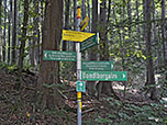Im Bergwald treffen wir auf einen Wegweiser
