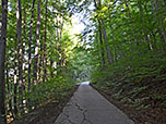...und kurzzeitig asphaltierten Forstweg...