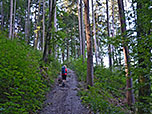 ...und erreichen über einen Waldweg...