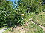 Von der Alm gehen wir zurück zum Waldrand...