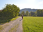 Vor uns zeigt sich der bewaldete Dandlberg