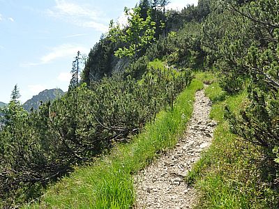 Wir folgen weiter dem Pfad