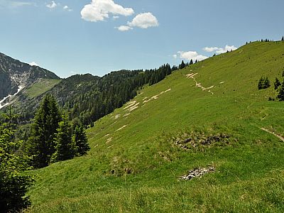 Weiter über die Kirchmair Hoch Alm