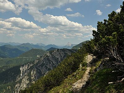 Kurz vor dem Gipfel des Dürrenbergjoch mit Blick zum Guffert
