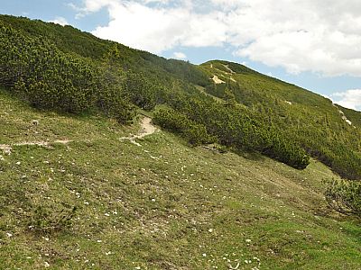 Letzter Anstieg vor dem Gipfel des Demeljoch