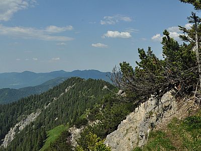 Blick auf den bewaldeten Dürrenberg (1625 m)