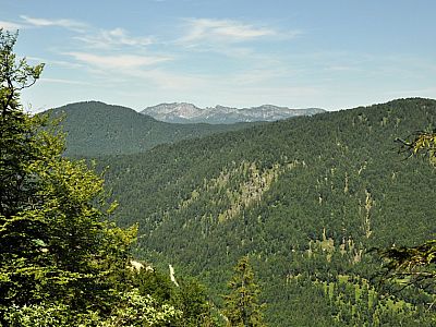 Im Nordwesten die Benediktenwand 