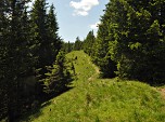 Etwas flacher geht es auf dem Pfad weiter.