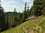In der Wiese verliert sich der Weg...