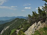 Blick auf den bewaldeten Dürrenberg (1625 m)