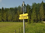 Wir folgen dem Wegweiser zur Walchenklamm