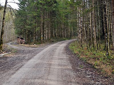 Wir gehen rechts und wählen den Weg über den Keilkopf