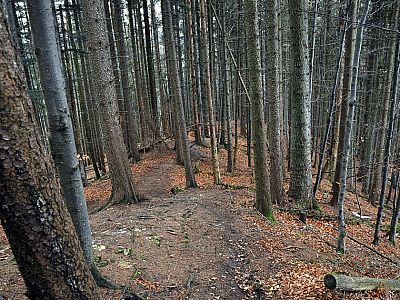 Der Abstieg erfolgt über den Pfad im Westen